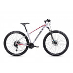 Horský bicykel ROMET MUSTANG M2 M Sivo-červená